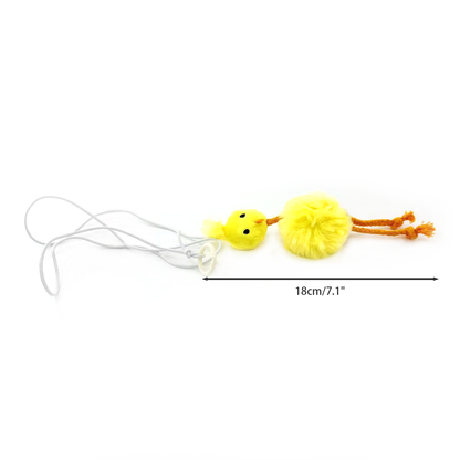 Cat Toys