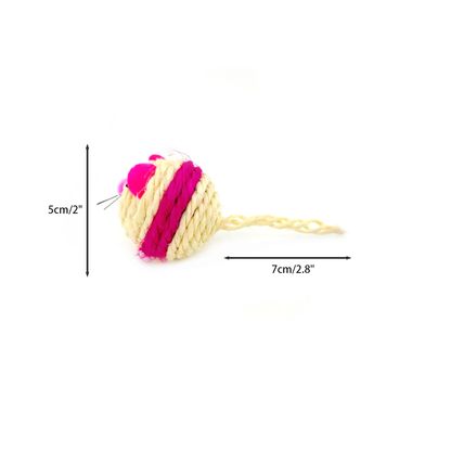 Cat Toys